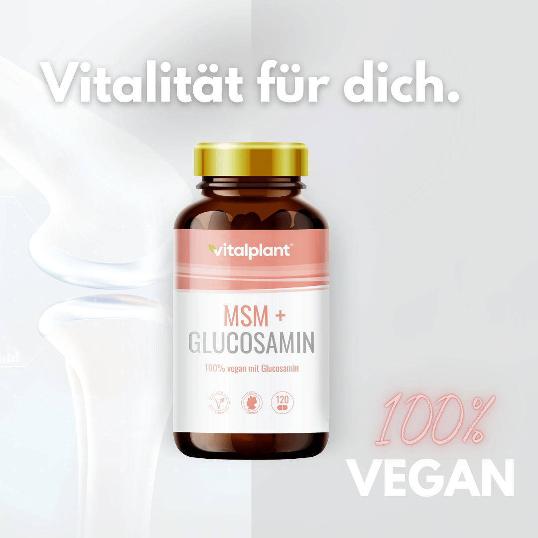 MSM & Glucosamin Kapseln von Vitalplant für gesunde Gelenke, 100% vegan, 120 Kapseln