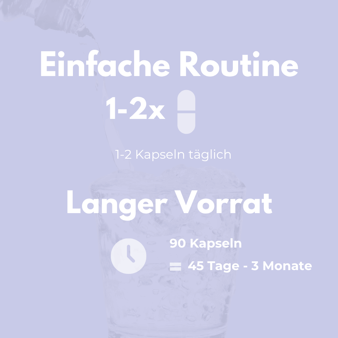 Nacht Ruhe Kapseln Anleitung für einfache Routine mit 1-2 Kapseln täglich und langer Vorrat von 90 Kapseln.
