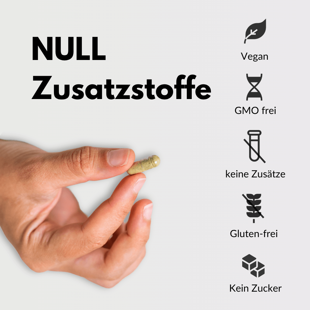 Hand hält eine Kapsel ohne Zusatzstoffe, unterstützt durch Panax Ginseng, vegan, glutenfrei, ohne Zucker.