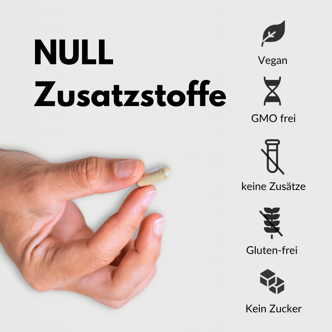Hand hält Kapsel mit NULL Zusatzstoffen – vegan, GMO-frei, glutenfrei und ohne Zucker für dein Wohlbefinden.