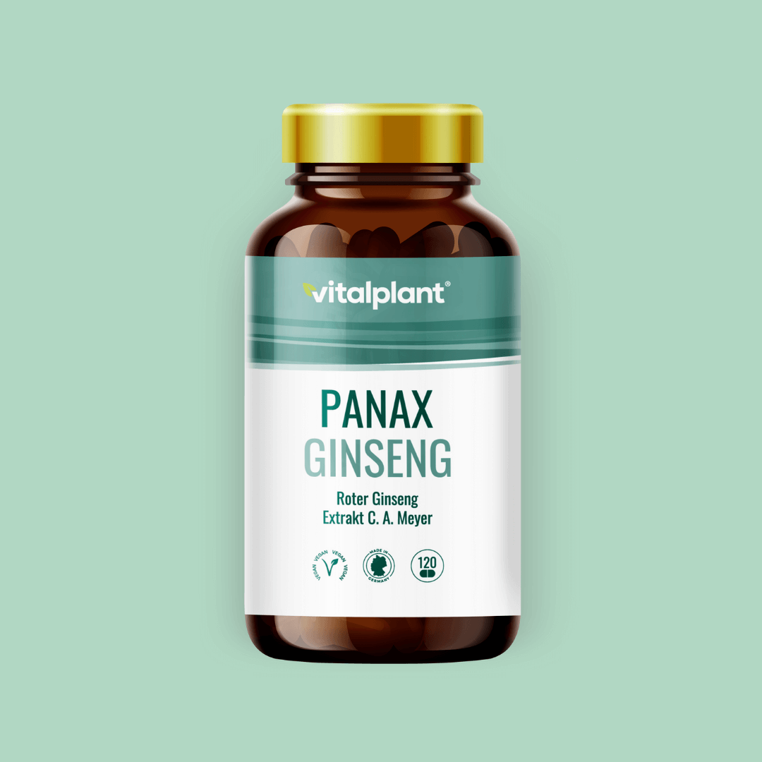 Panax Ginseng Kapseln von Vitalplant, 120 Kapseln, Roter Ginseng Extrakt C.A. Meyer, hochwertiges Nahrungsergänzungsmittel.