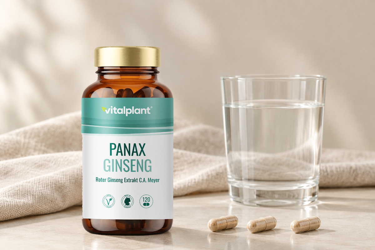 Panax Ginseng Kapseln - 2 bis 3 Kapseln täglich
