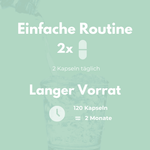 Panax Ginseng Kapseln einfache Routine 2x 120 Kapseln langer Vorrat für 2 Monate Einnahme