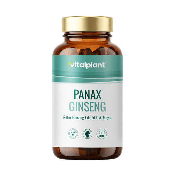 Panax Ginseng Kapseln von Vitalplant mit 120 Tabletten, Roter Ginseng Extrakt C.A. Meyer in hoher Konzentration.