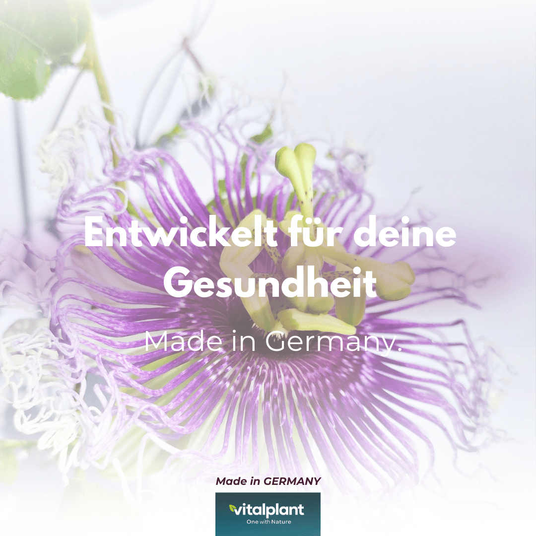 Passionsblume Kapseln von Vitalplant, entwickelt für deine Gesundheit, natürliche Entspannung aus Nordamerika.
