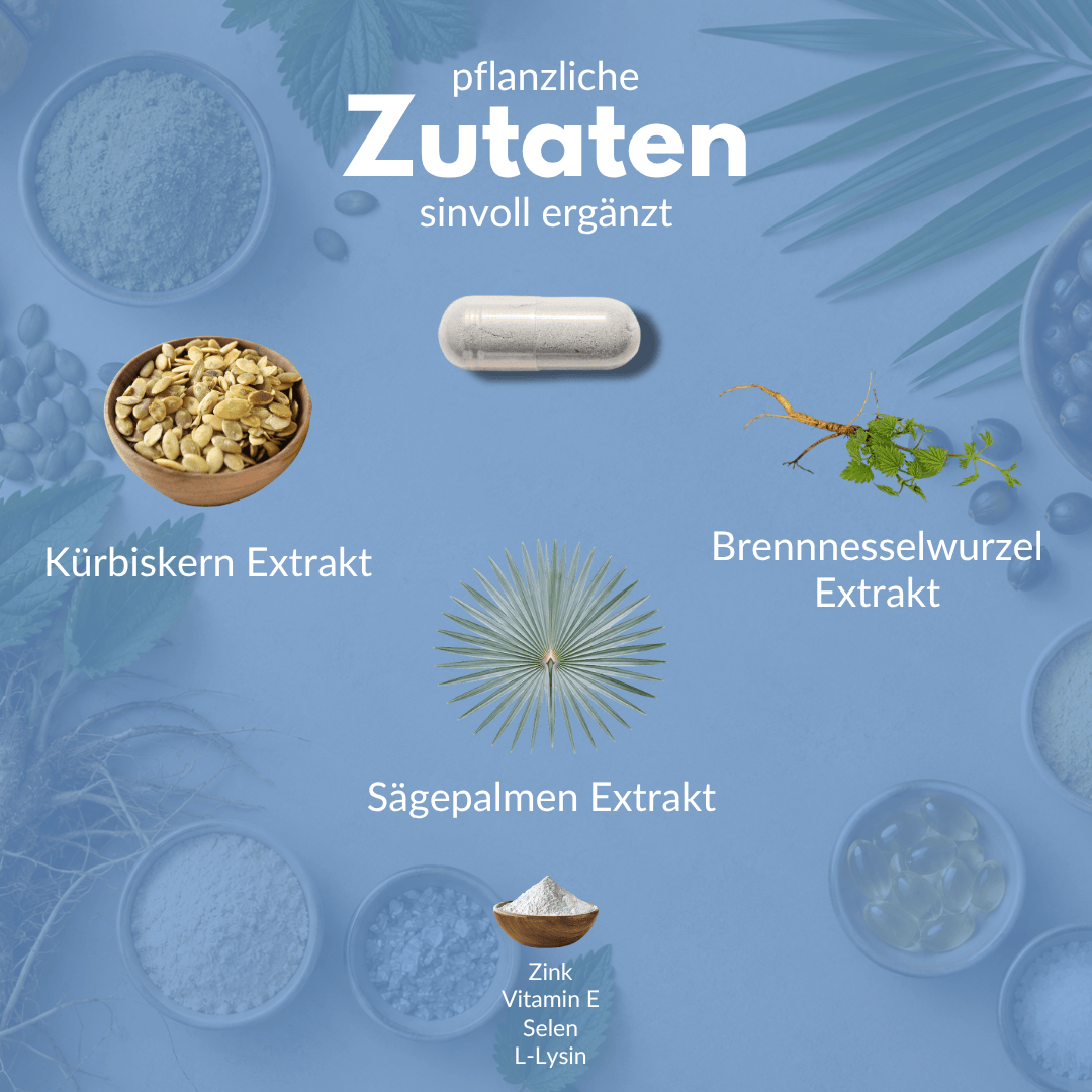 Prosta Plant pflanzliche Zutaten wie Kürbiskernextrakt, Brennnesselwurzel, Sägepalmenextrakt und Zink.