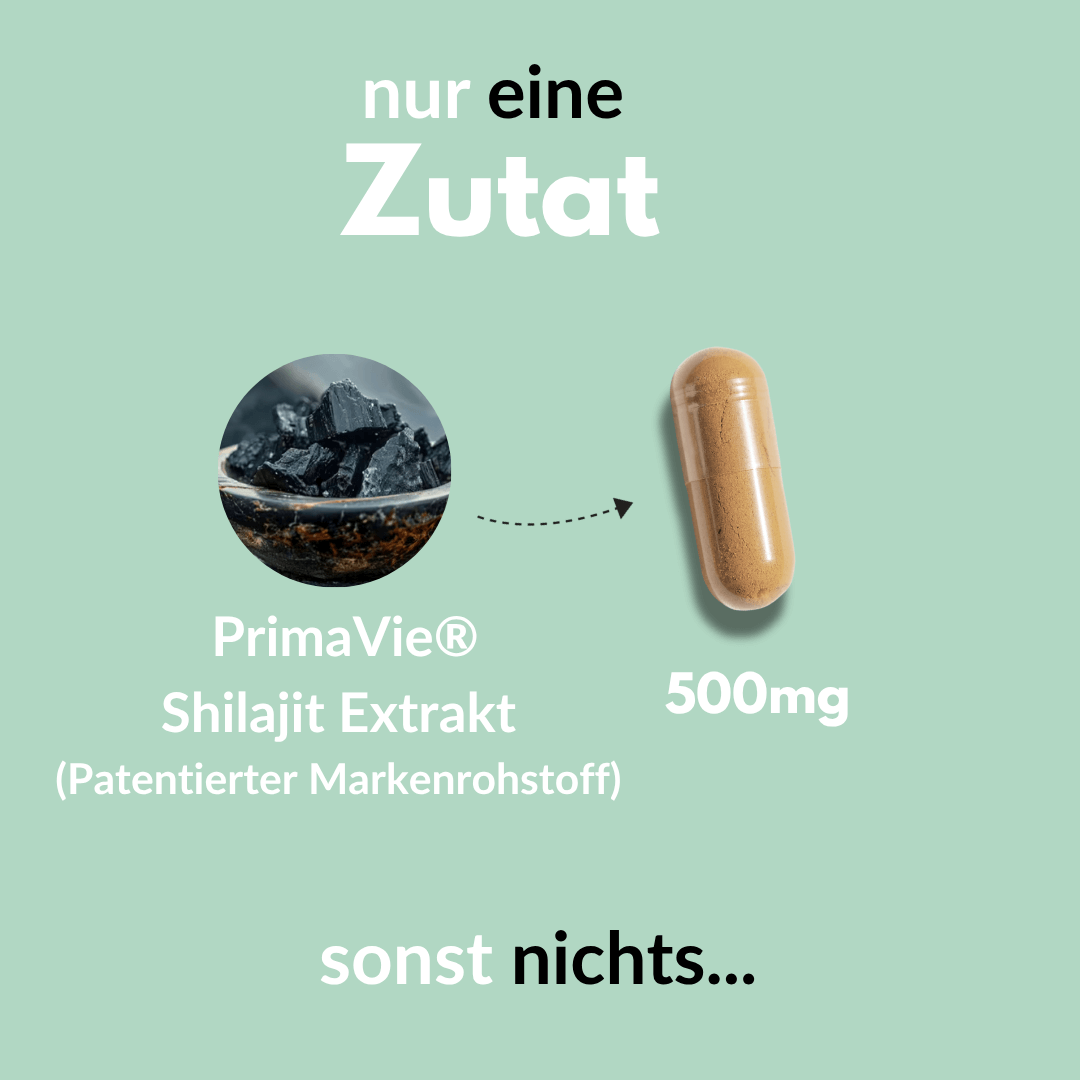 Grafik von PrimaVie® Shilajit Kapseln mit 500mg reinem Shilajit Extrakt, nur eine Zutat.
