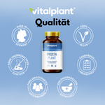 Prosta Plant Kapseln mit veganen Zutaten für Männergesundheit, entwickelt von Pharmazeuten, made in Germany.