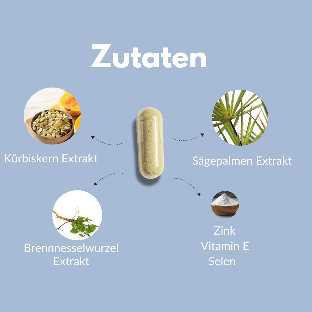 Prosta Plant Kapsel mit Kürbiskern, Sägepalmen und Brennnesselextrakten zur Unterstützung der Männergesundheit.