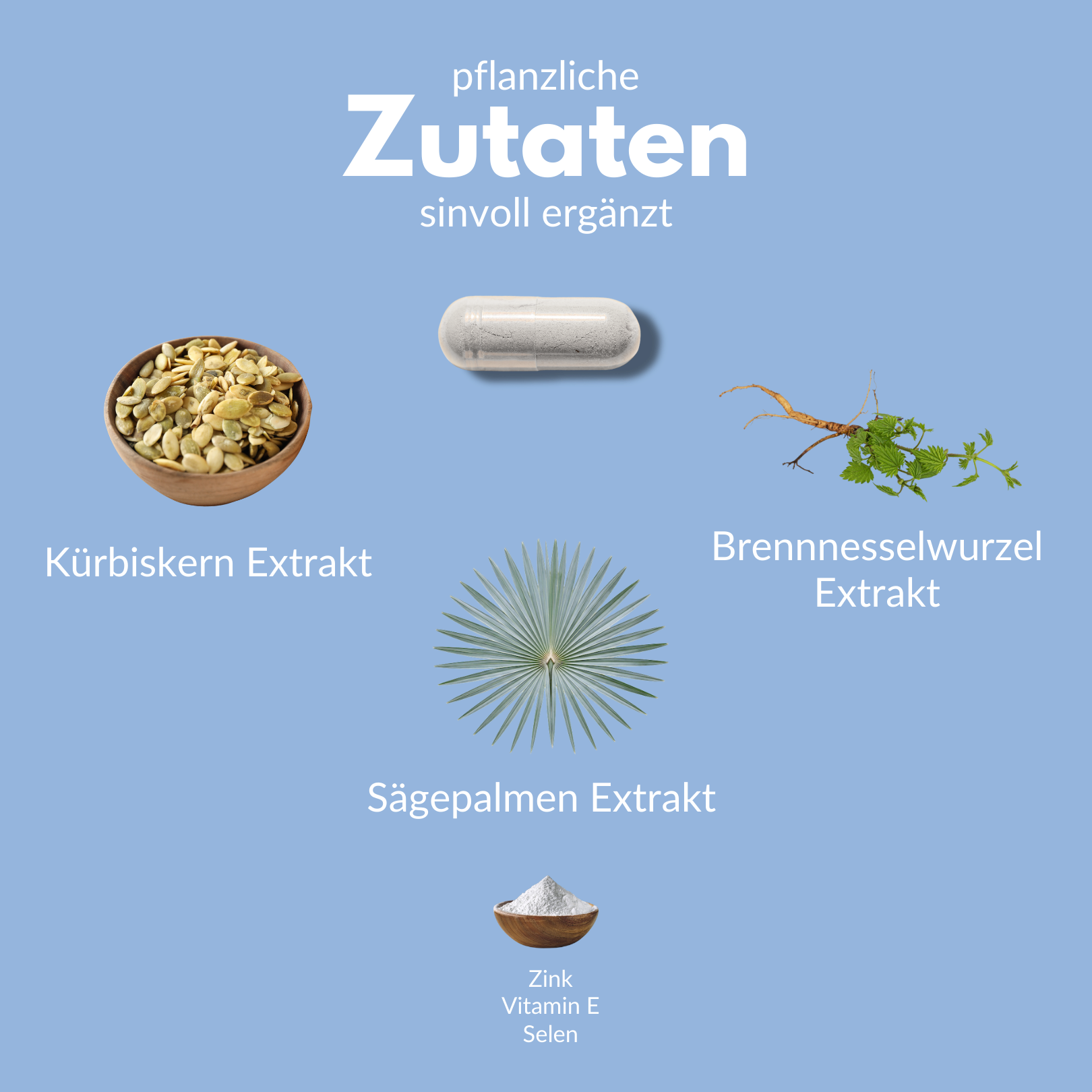 Prosta Plant Inhaltsstoffe: Kürbiskern Extrakt, Brennnesselwurzel Extrakt, Sägpalmene Extrakt, Zink, Vitamin E, Selen.