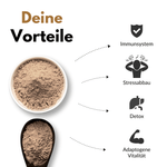Reishi Kapseln Vorteile: Immunsystem, Stressabbau, Detox, Adaptogene Vitalität.