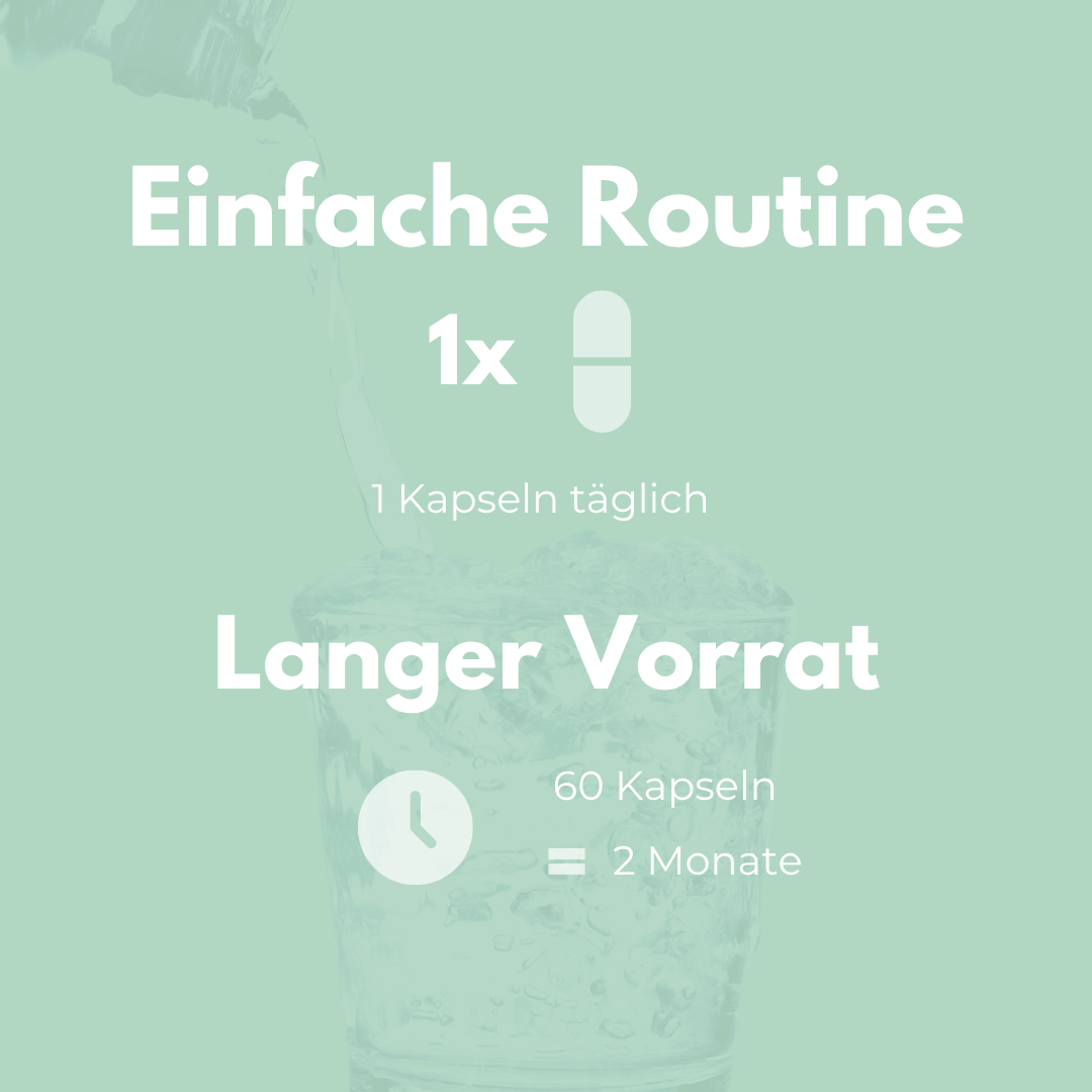 Salbei Kapseln - einfache 1 tägliche Kapsel Routine für 2 Monate Vorrat mit 60 Kapseln