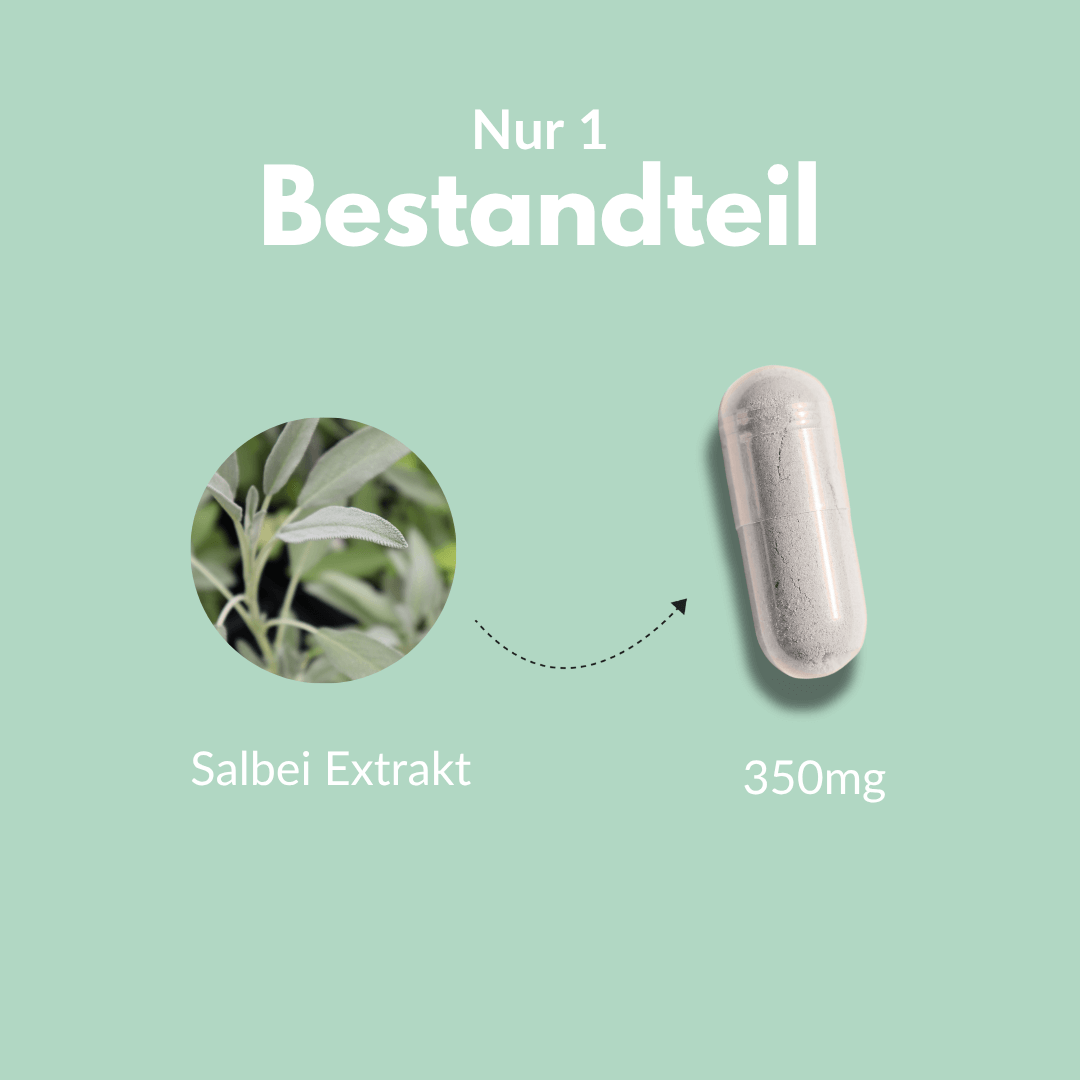 Salbei Kapseln mit hochdosiertem Salbei Extrakt von 350mg – die heilige Pflanze der Römer