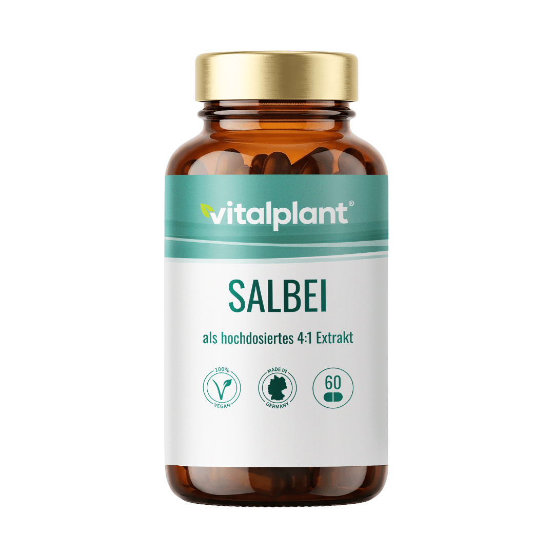 Salbei Kapseln als hochdosiertes 4:1 Extrakt in Glasflasche von vitalplant, 60 Stück