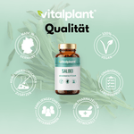 Salbei Kapseln von Vitalplant mit hochdosiertem Extrakt, vegan und laborgeprüft, hergestellt in Deutschland.
