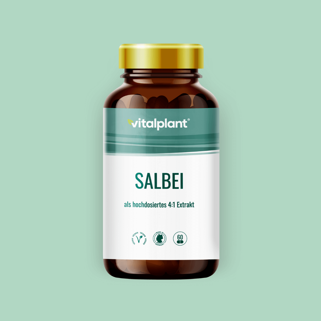 Salbei Kapseln von Vitalplant als hochdosiertes 4:1 Extrakt in einem braunen Glasbehälter.