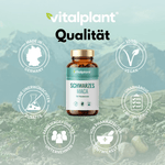 Vitalplant Schwarzes Maca Kapseln 10:1 Wurzelextrakt in veganen Kapseln, hergestellt in Deutschland.