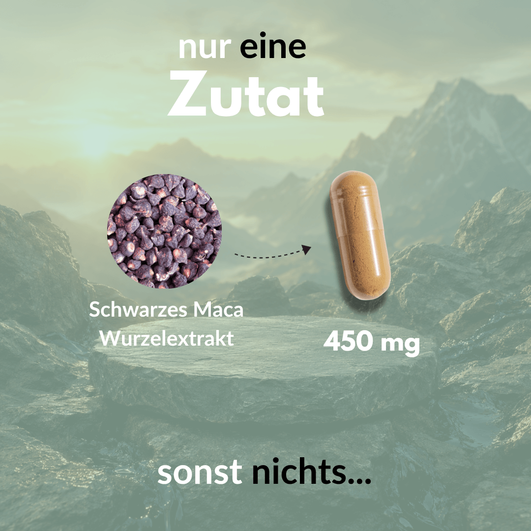 Schwarzes Maca Kapseln mit 450 mg Wurzelextrakt, nur eine Zutat in veganer Kapsel.