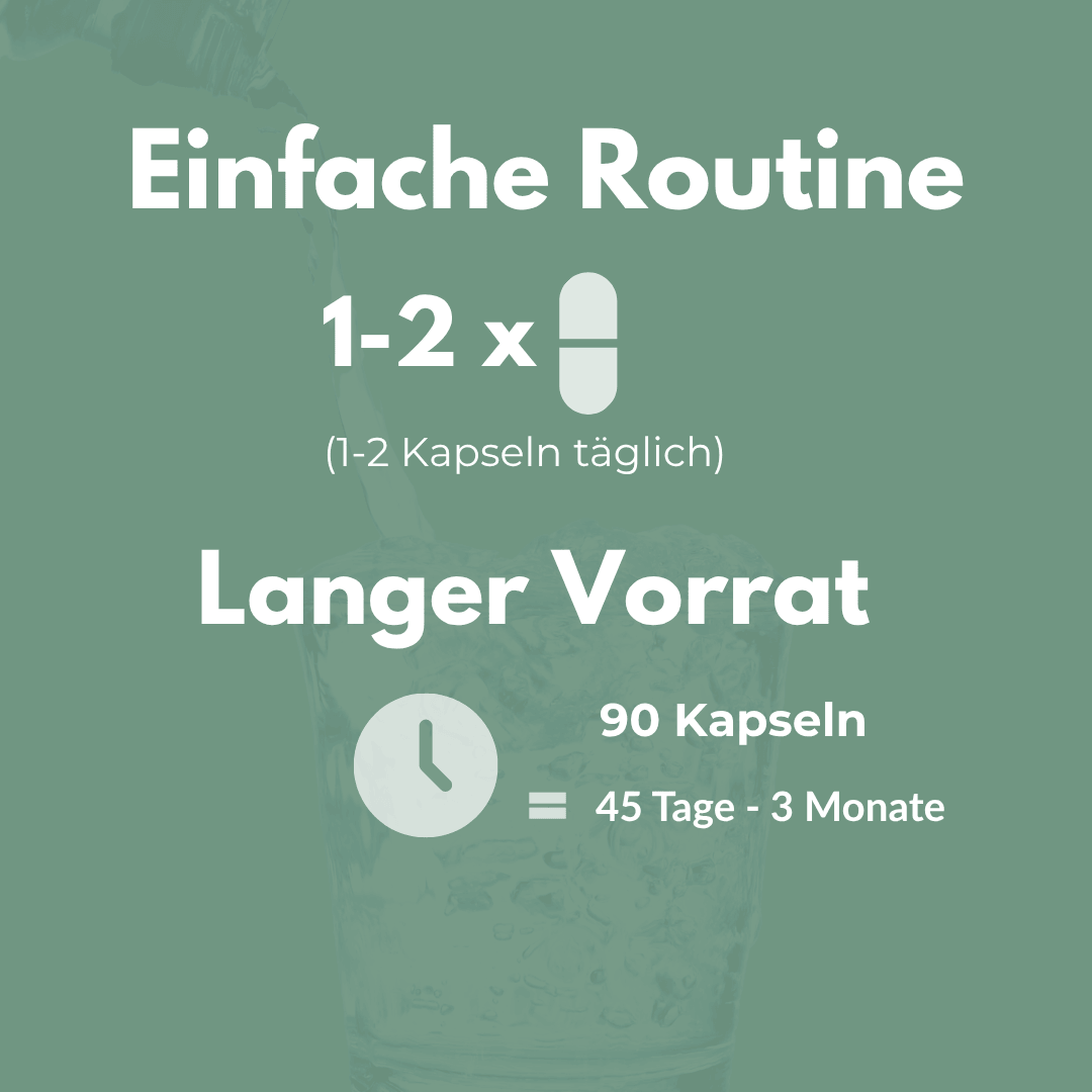Einfaches Routine Schema für Shilajit Kapseln: 1-2 x täglich, 90 Kapseln für langen Vorrat.
