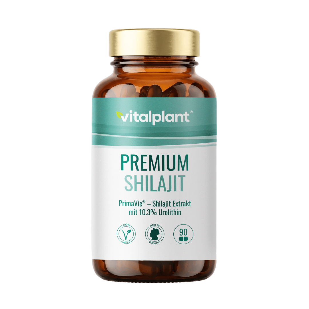 Premium Shilajit Kapseln von Vitalplant für Körper & Geist mit hochwertigem Shilajit Extrakt