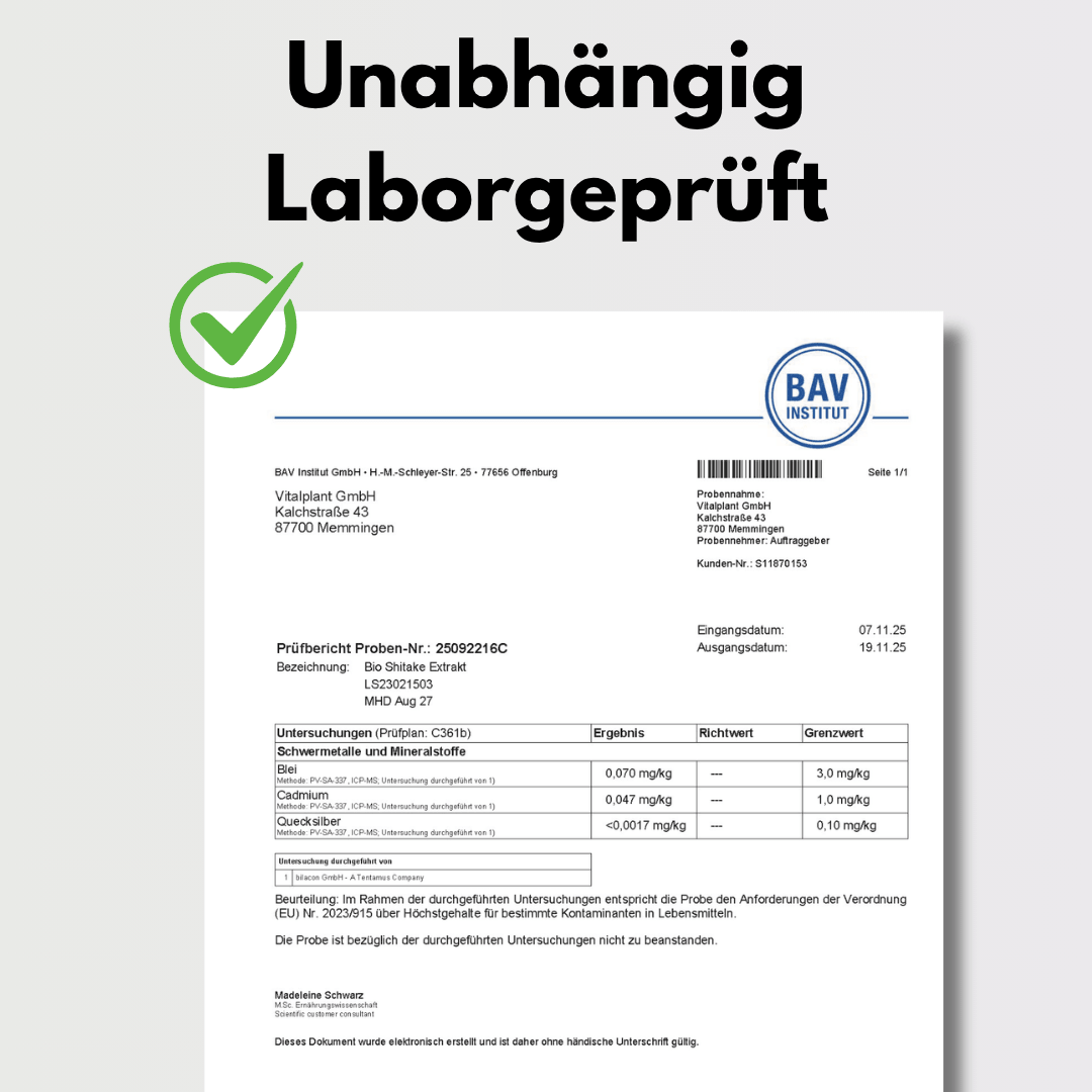 Unabhängig laborgeprüftes Zertifikat des BAV Instituts für Bio Shiitake Kapseln von Vitalplant.