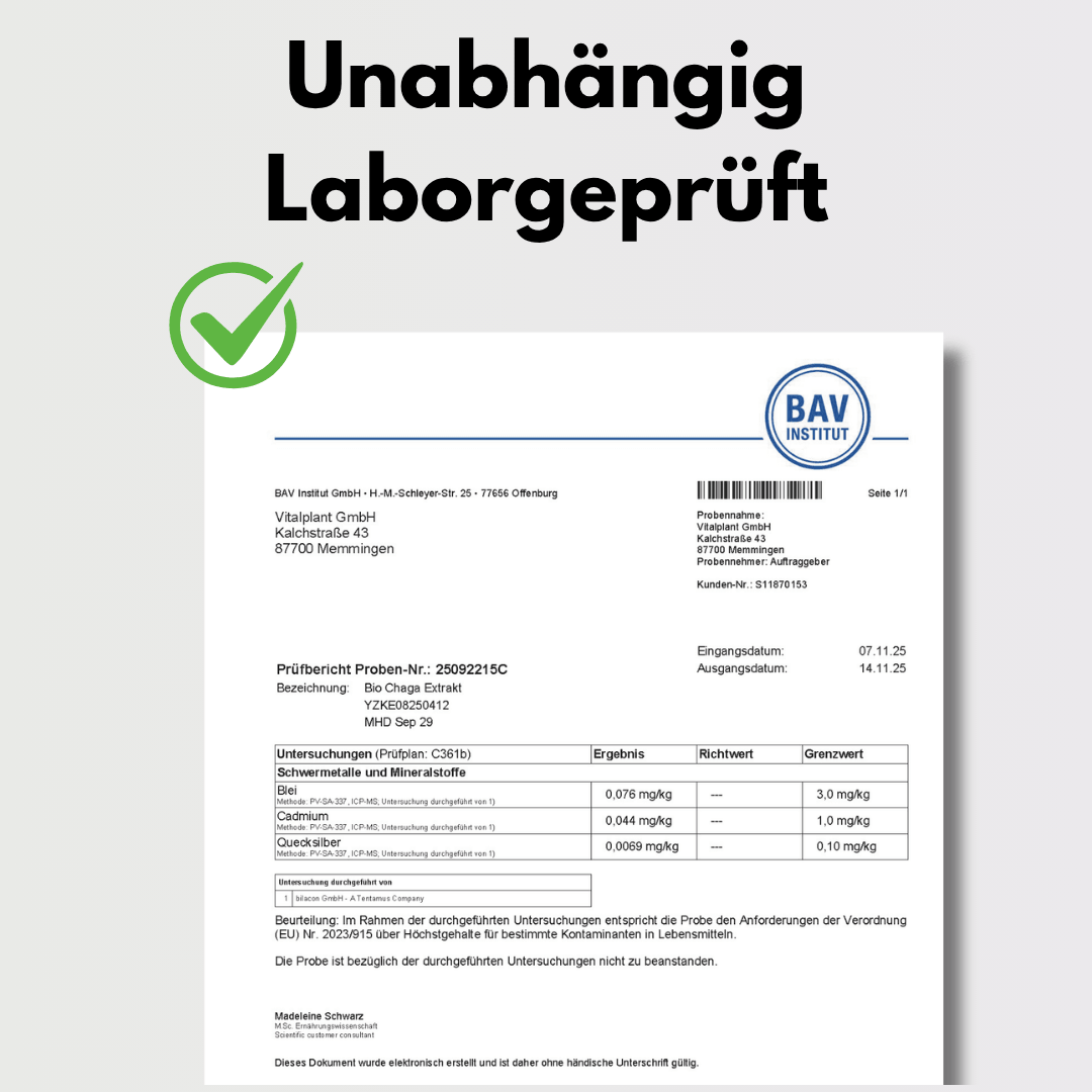 Independently lab-tested certificate for Vitalplant organic Chaga capsules.