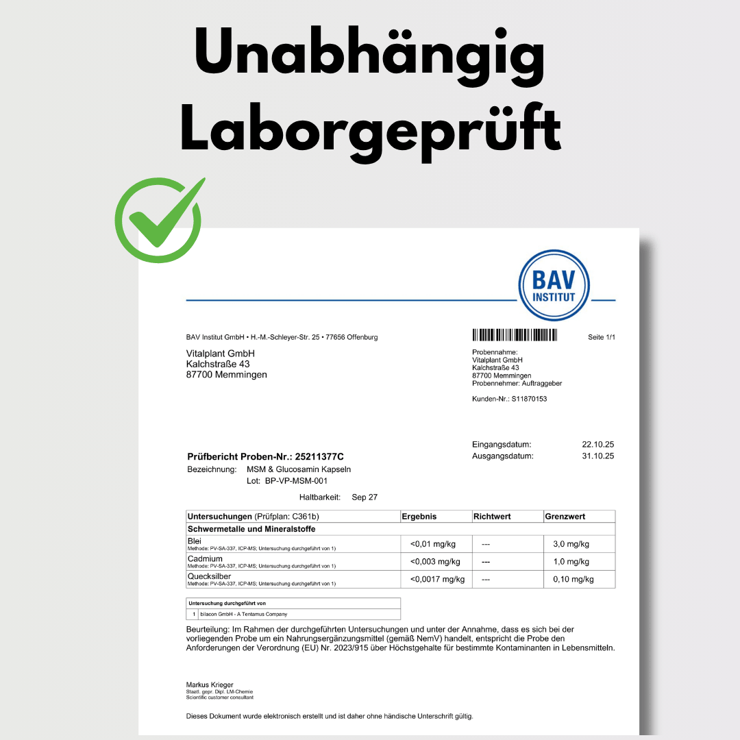 Unabhängig laborgeprüftes Zertifikat für MSM & Glucosamin Kapseln zur Sicherstellung der Qualität