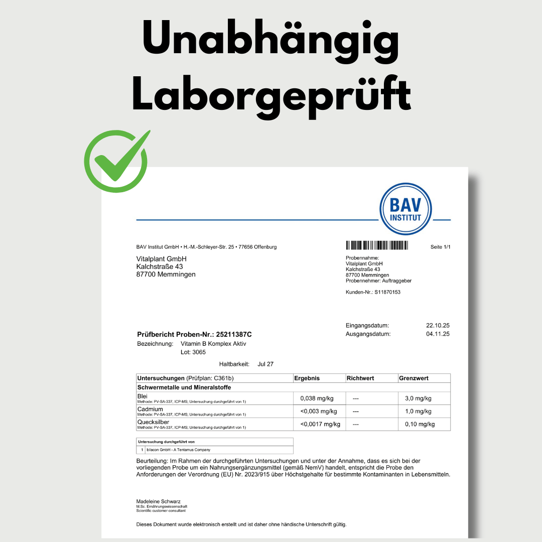 Laborgeprüfter Prüfbericht zu Vitamin B Komplex Aktiv mit Testergebnissen und Qualitätssiegel.