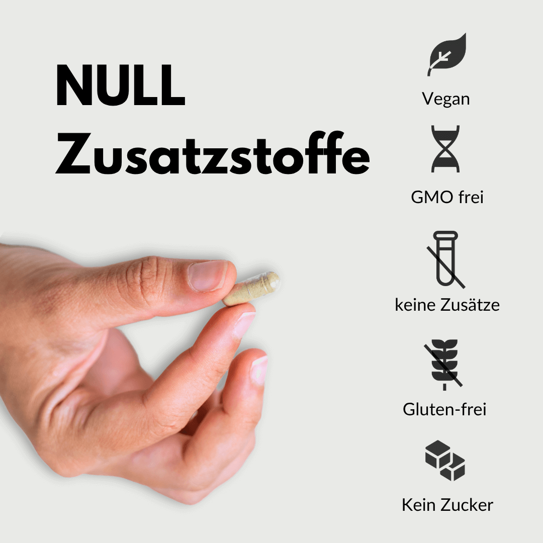 Vitamin B Komplex Aktiv Kapseln ohne Zusatzstoffe, vegan und glutenfrei, mit Null Zusätzen.