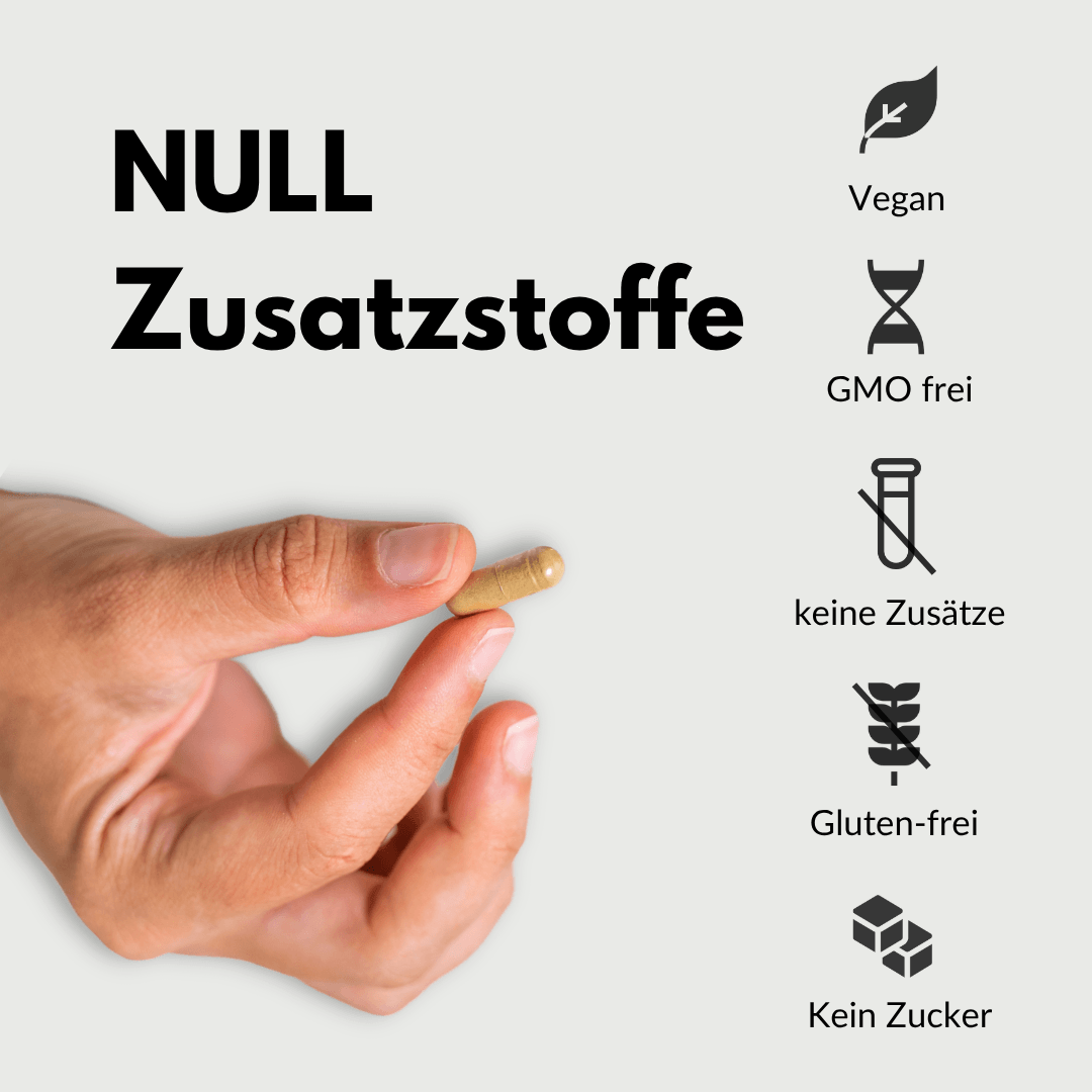 Hände halten eine Kapsel des Magnesium Komplex ohne Zusatzstoffe, vegan, GMO-frei, glutenfrei.