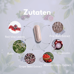 Zutaten für Venen Komplex Kapseln: Traubenblätter, Pinienrindenextrakt, Rutin, Quercetin, Grape Seed Extract, Acerola Kirsche.