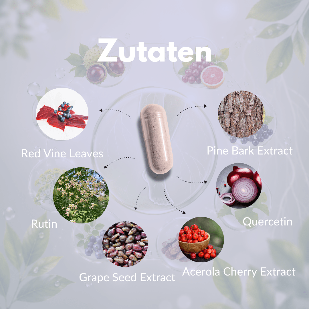 Zutaten für Venen Komplex Kapseln: Traubenblätter, Pinienrindenextrakt, Rutin, Quercetin, Grape Seed Extract, Acerola Kirsche.