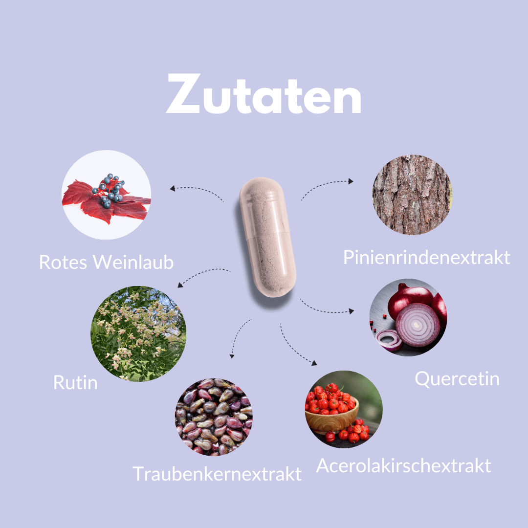 Zutaten der Venen Komplex Kapseln: Rotes Weinlaub, Pinienrindenextrakt, Rutin, Quercetin, Traubenkernextrakt, Acerolakirsche.