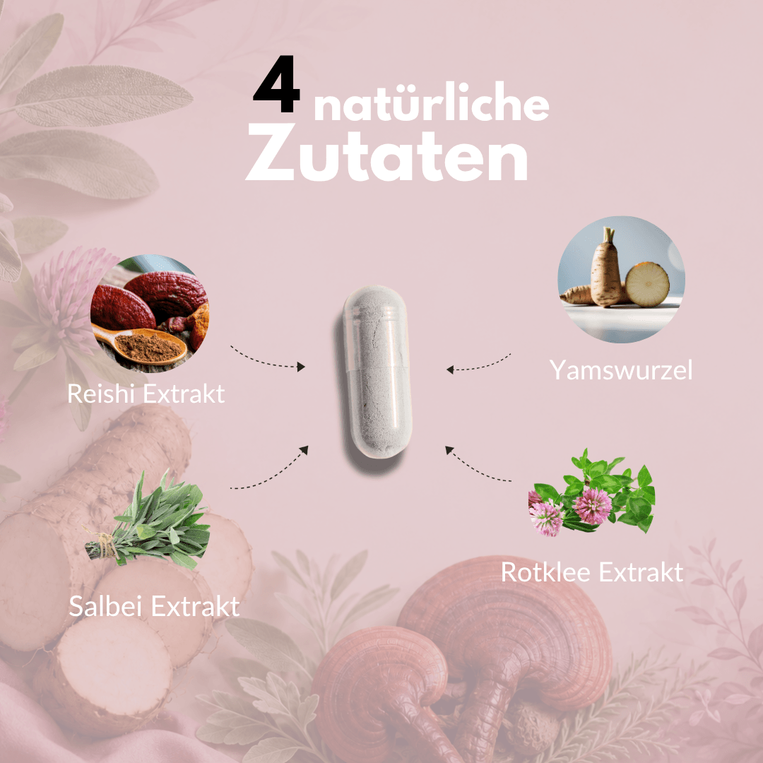 Meno Vital Kapseln mit 4 natürlichen Zutaten: Reishi Extrakt, Yamswurzel, Salbei Extrakt, Rotklee Extrakt.