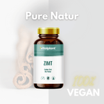 Zimt Kapseln von Vitalplant, Ceylon Zimt Bio Pulver in veganer Verpackung, mit Zimtstangen im Hintergrund.