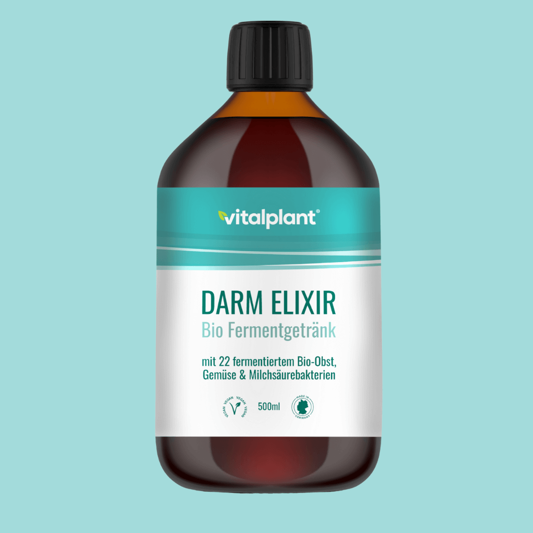 Vitalplant® Darm Elixier Bio Fermentgetränk in Flasche mit 22 fermentierten Obst- und Gemüsesorten.