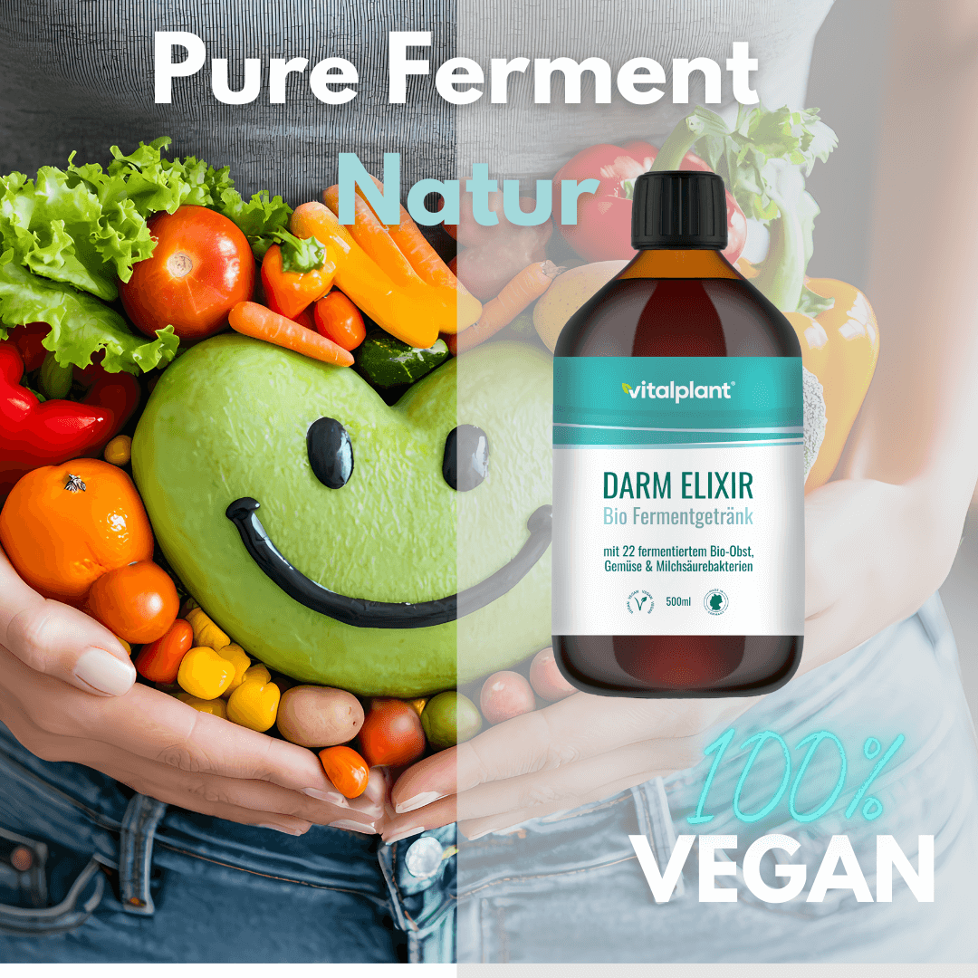 Vitalplant® Darm Elixier – 100% vegan, fermentiertes Bio-Getränk mit 22 Obst- und Gemüsesorten.