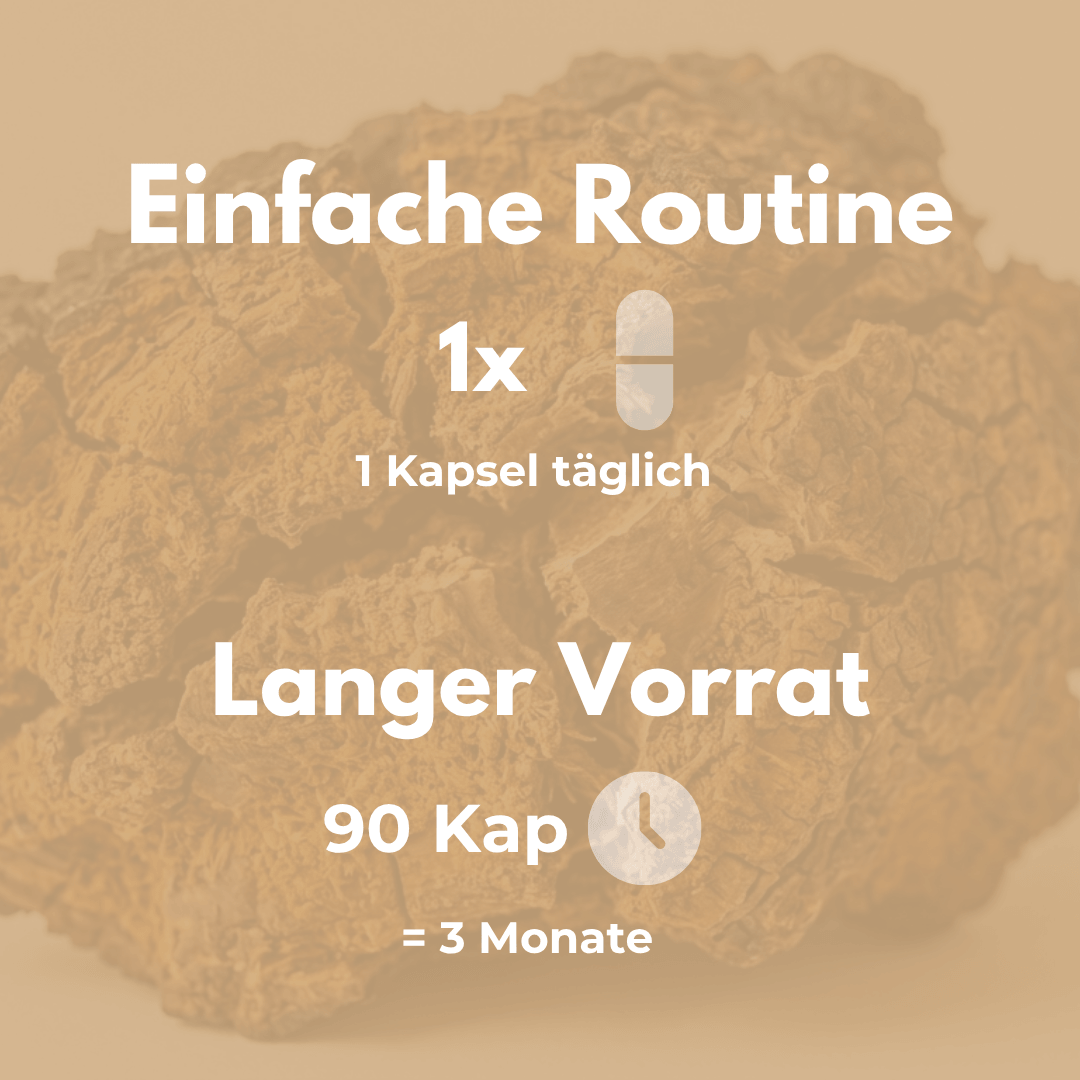 Bio Chaga Kapseln – einfache Routine mit 1 Kapsel täglich für 3 Monate, 90 Kapseln im Vorrat
