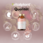 Eisen Glycinat Kapseln von Vitalplant mit natürlichen Inhaltsstoffen, hergestellt in Deutschland und vegan.