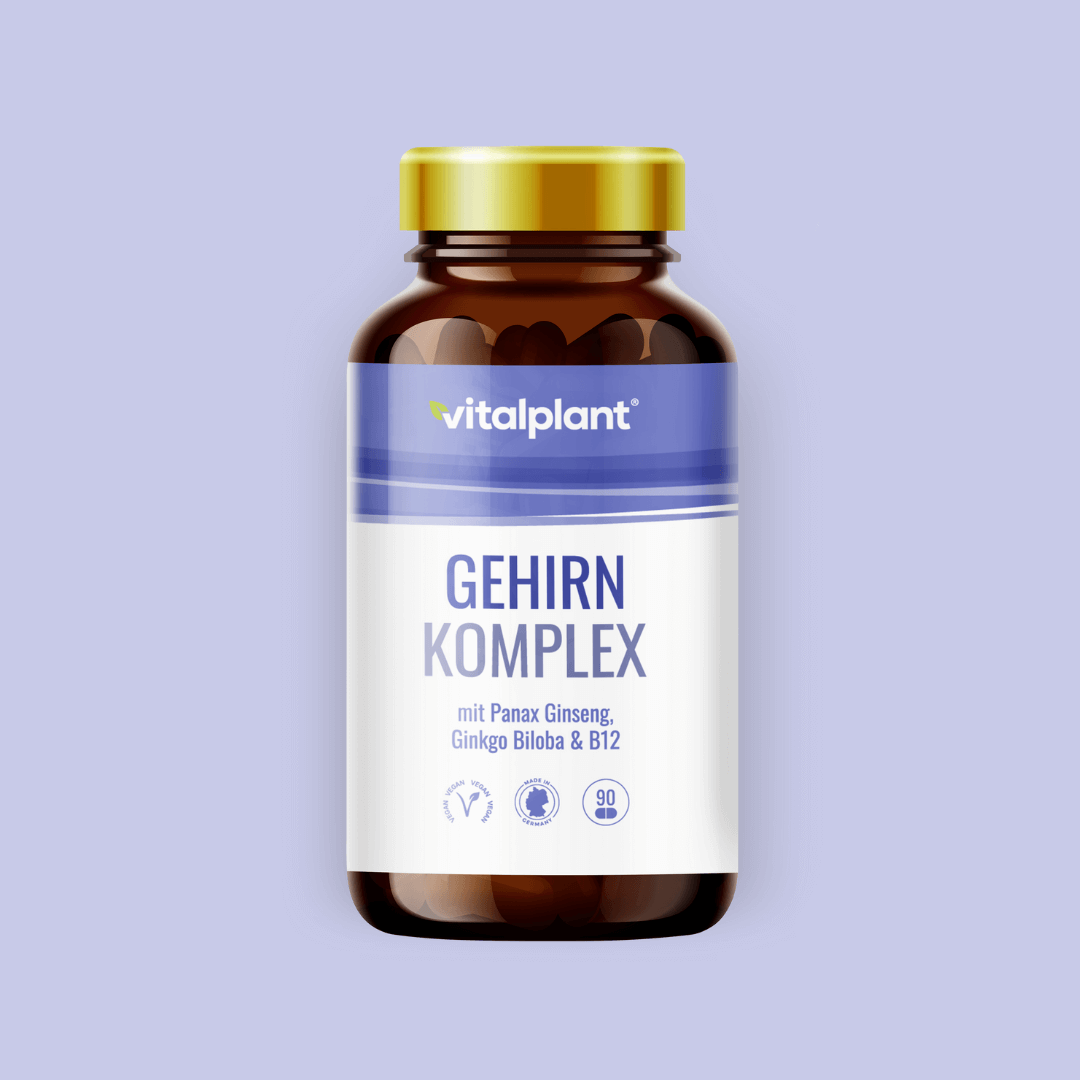 Vitalplant Gehirn Komplex Kapseln mit Panax Ginseng, Ginkgo Biloba und Vitamin B12