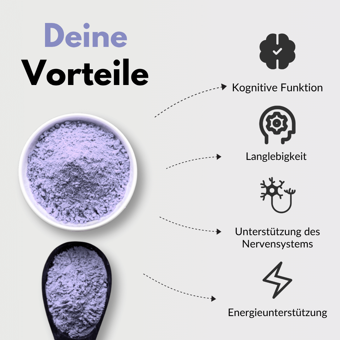 Gehirn Komplex Vorteile: Kognitive Funktion, Langlebigkeit, Unterstützung des Nervensystems, Energieunterstützung.