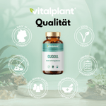 Guggul Extrakt Kapseln von Vitalplant mit 5% Guggulsteronen, vegan, hergestellt in Deutschland.
