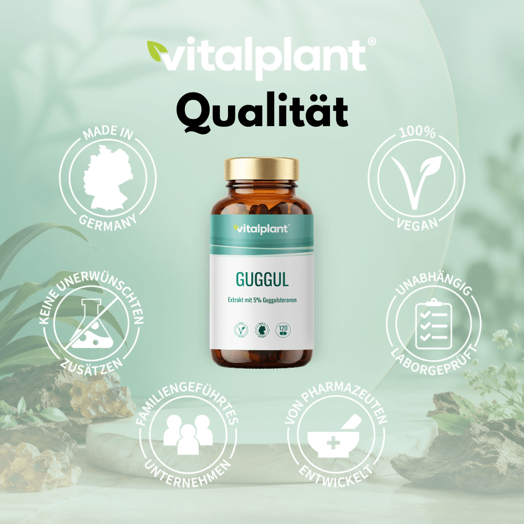 Guggul Extrakt Kapseln von Vitalplant mit 5% Guggulsteronen, vegan, hergestellt in Deutschland.