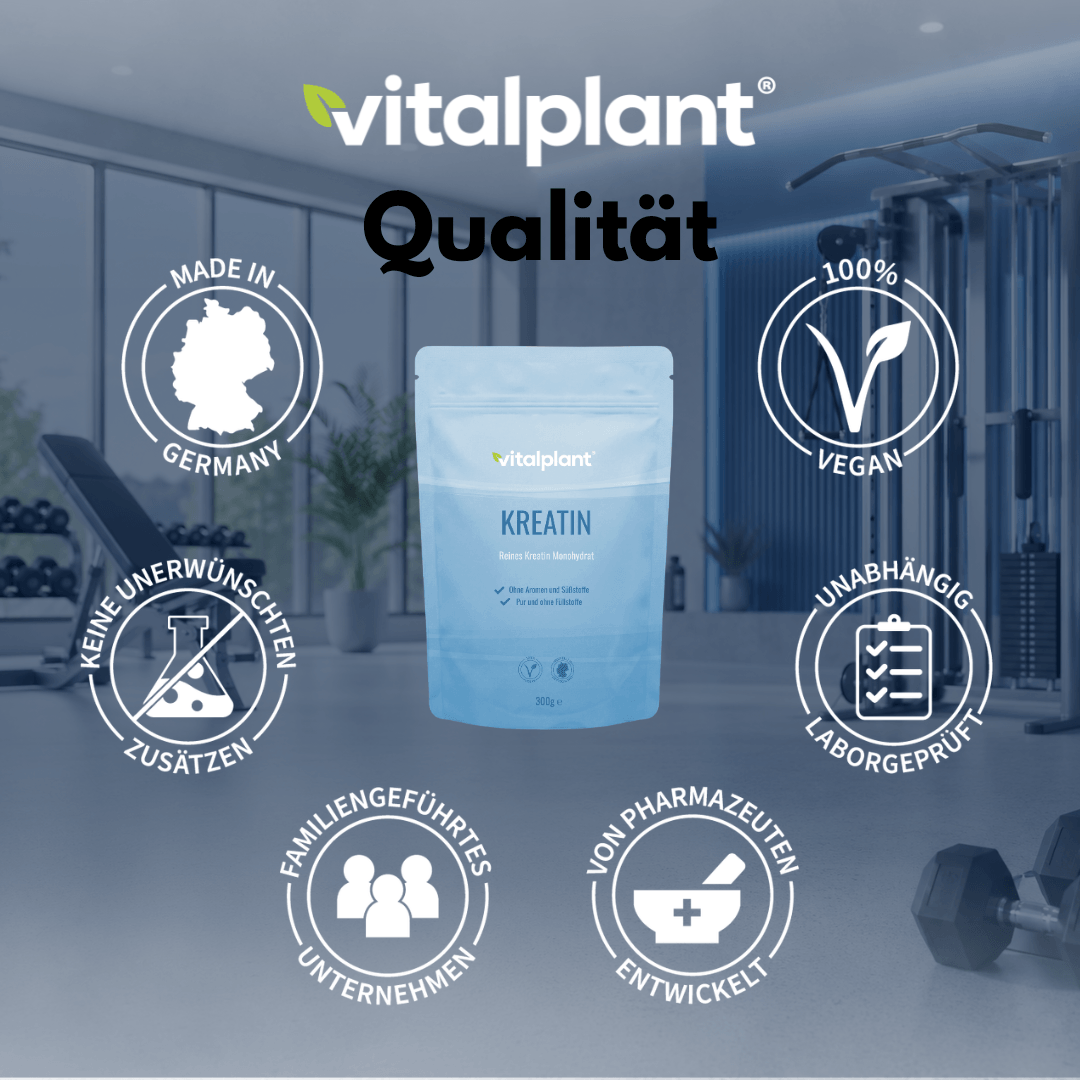Kreatin Pulver von Vitalplant – reines Kreatin Monohydrat in praktischem Verpackungsdesign.