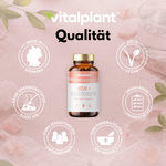MSM & Glucosamin Kapseln von vitalplant für Gelenkgesundheit, 100% vegan, Made in Germany.