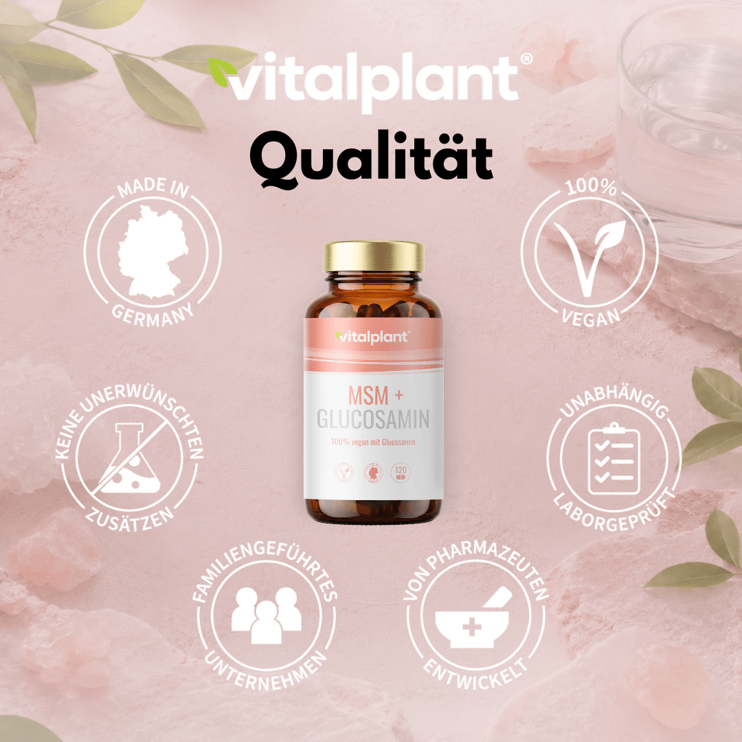 MSM & Glucosamin Kapseln von vitalplant für Gelenkgesundheit, 100% vegan, Made in Germany.