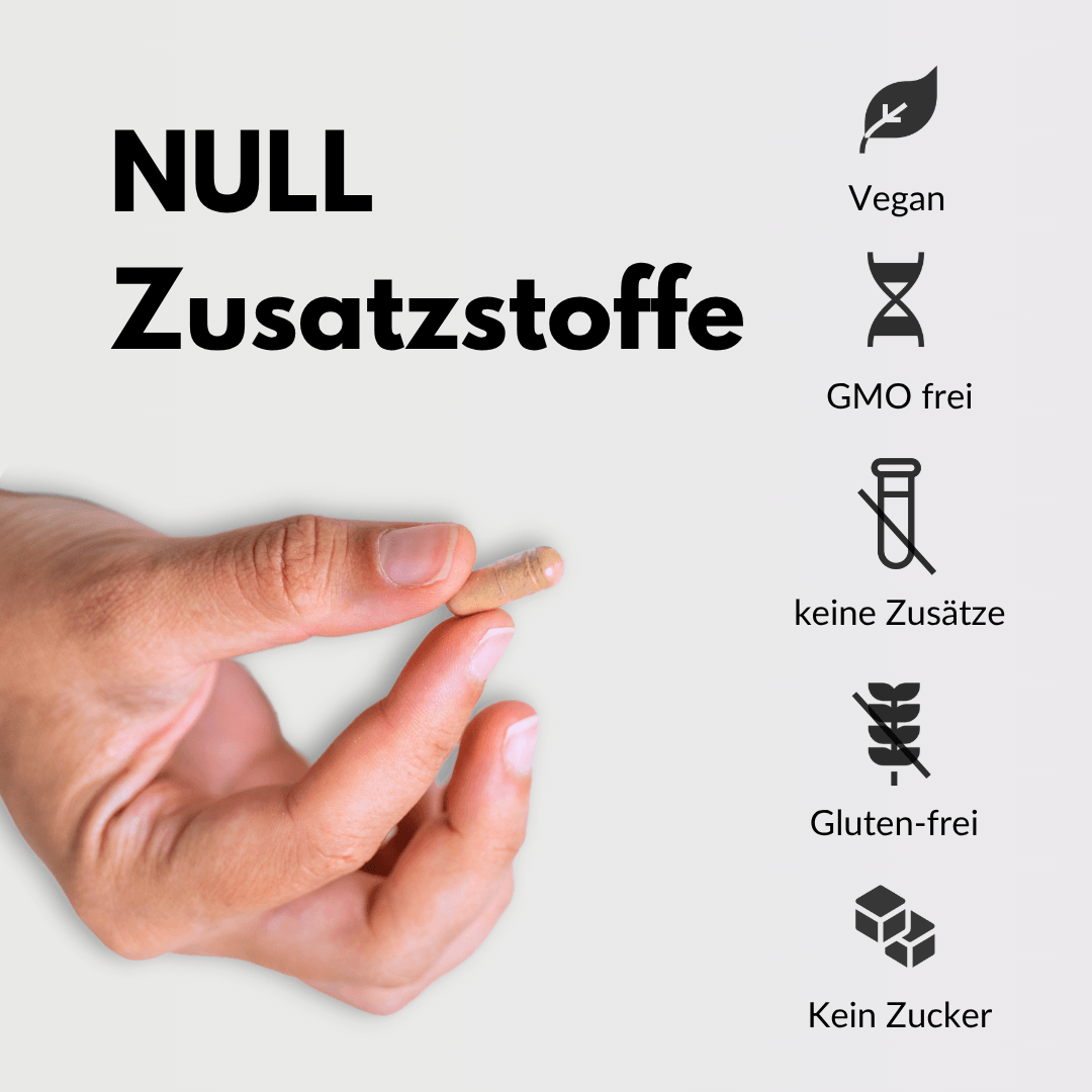 Nacht Ruhe Kapsel in Hand, NULL Zusatzstoffe, vegan, GMO-frei, glutenfrei, ohne Zucker.