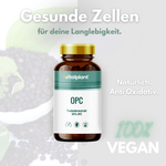 OPC Kapseln von Vitalplant, hochdosierte Antioxidantien aus Traubenkernen, 100% vegan und natürlich.