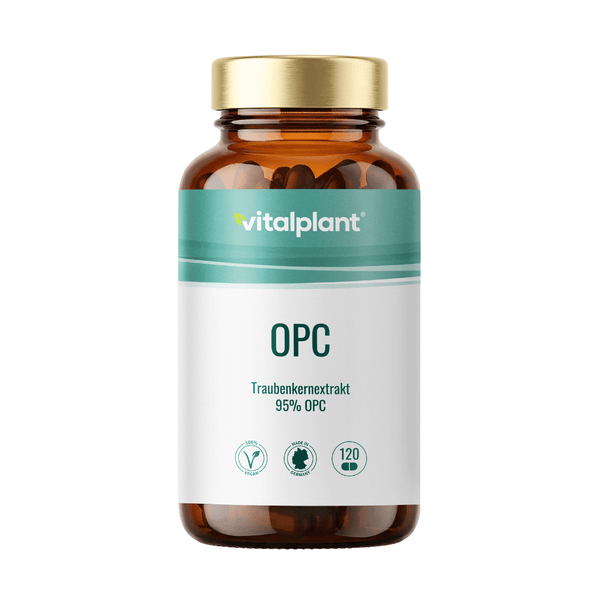 OPC Kapseln von Vitalplant im Glasbehälter mit 95% Traubenkernextrakt und 120 Kapseln