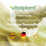 vitalplant Premium Nahrungsergänzung Artischocke Kapseln für deine Gesundheit Made in Germany